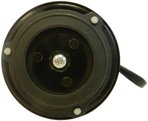 Компресор кондиціонера ACP177000S Mahle Original