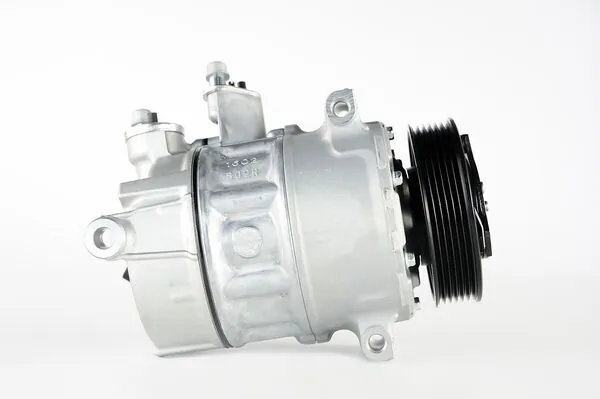 ACP6000P Mahle Original Компресор холодоагенту