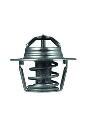 TX9189D Mahle Original Авто термостат