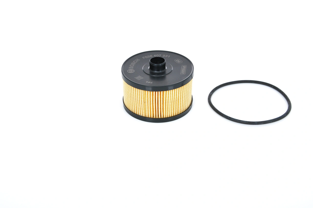 Купити F026407231 Bosch Фільтр очищення масла відцентровий