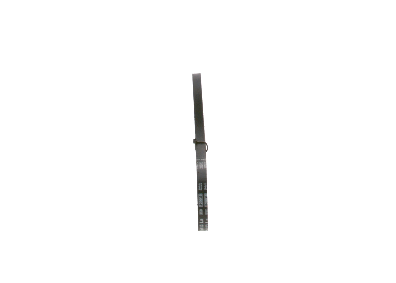 Клиновий ремінь Continental/Siemens 10X613 ціна, від 3.55 USD
