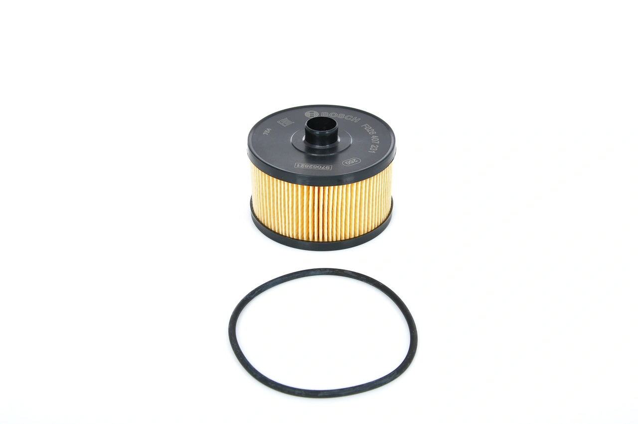F026407231 Bosch Фільтр масла