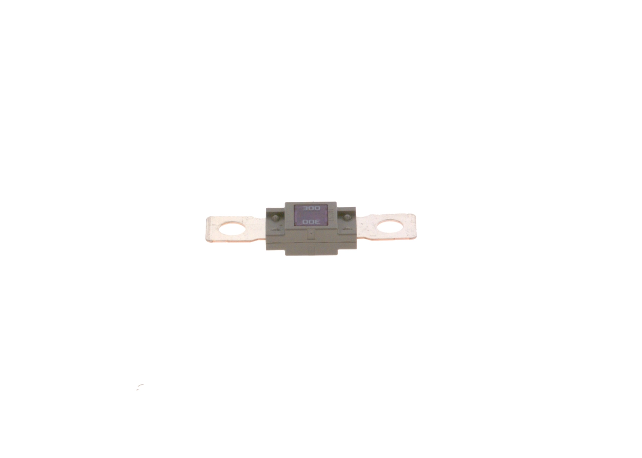 1987531007 Bosch Запобіжник