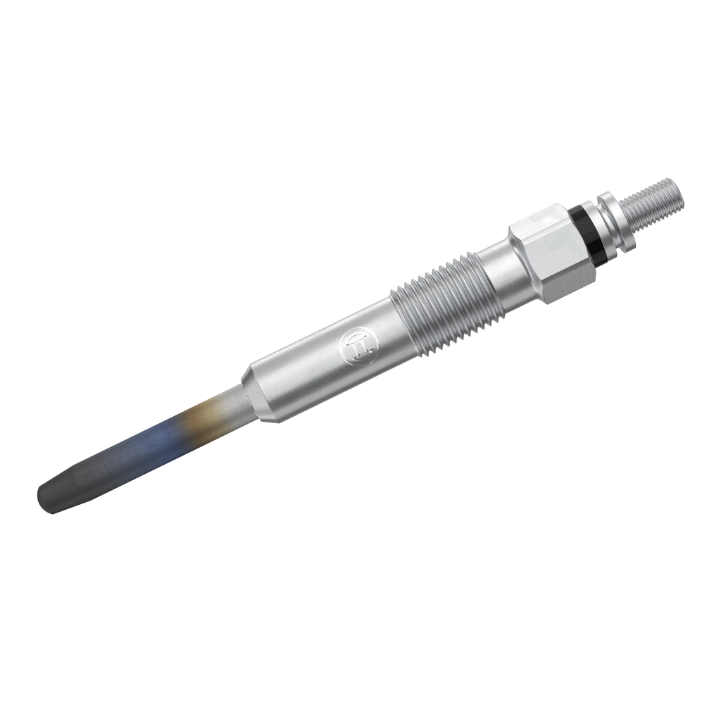 0250202020 Bosch Свічки розжарювання