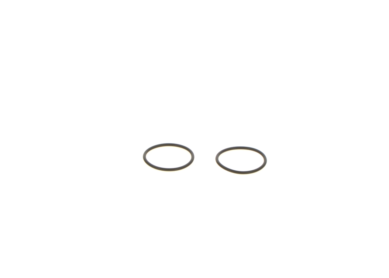 F00041P053 Bosch Ремкомплект форсунки