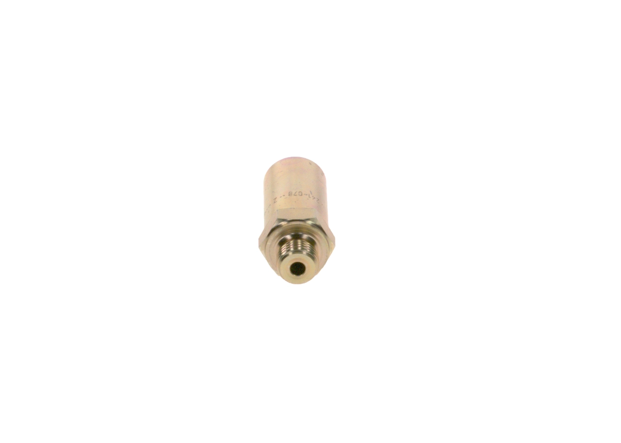 2417413078 Bosch Паливний перепускний клапан (болт банджо)