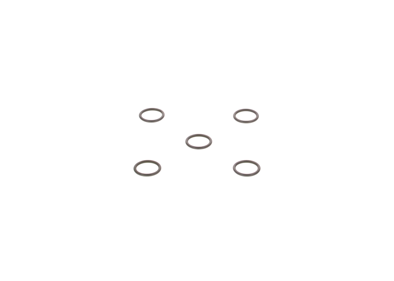 2440210020 Bosch 