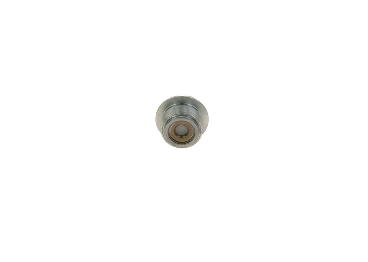  Bosch 2443461003 ціна, від 51.84 USD