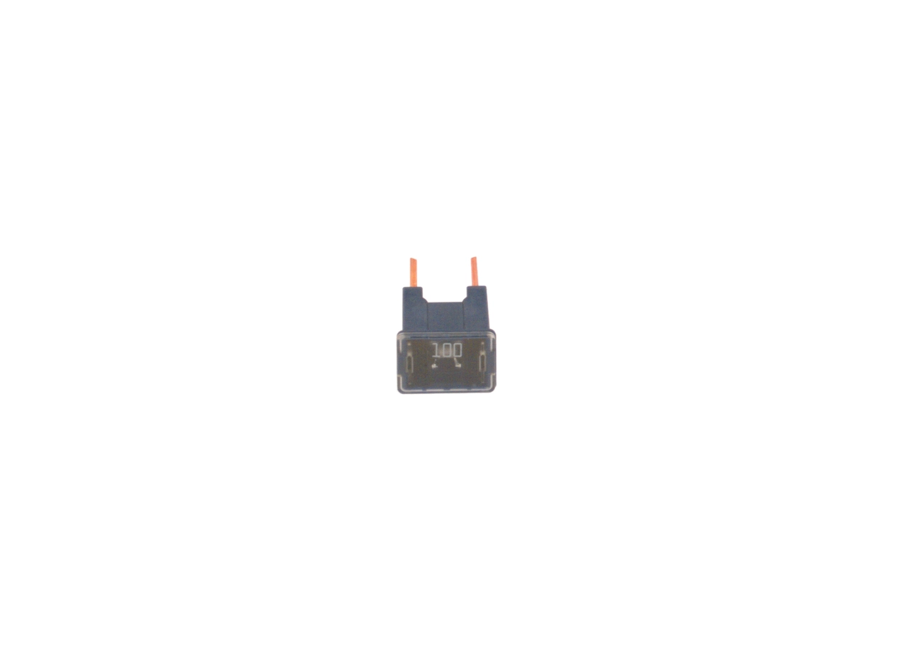 Купити 1987529074 Bosch Запобіжник