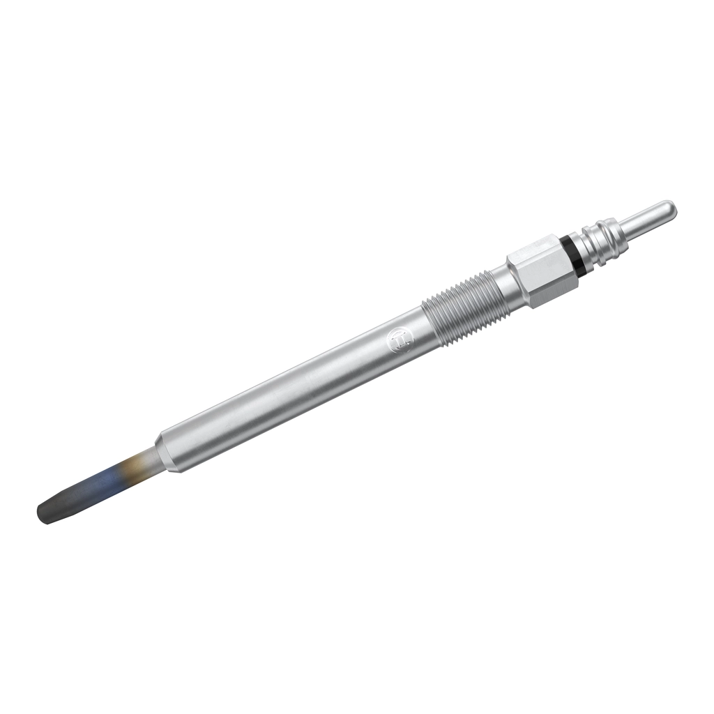 0250202038 Bosch Свічки розжарювання