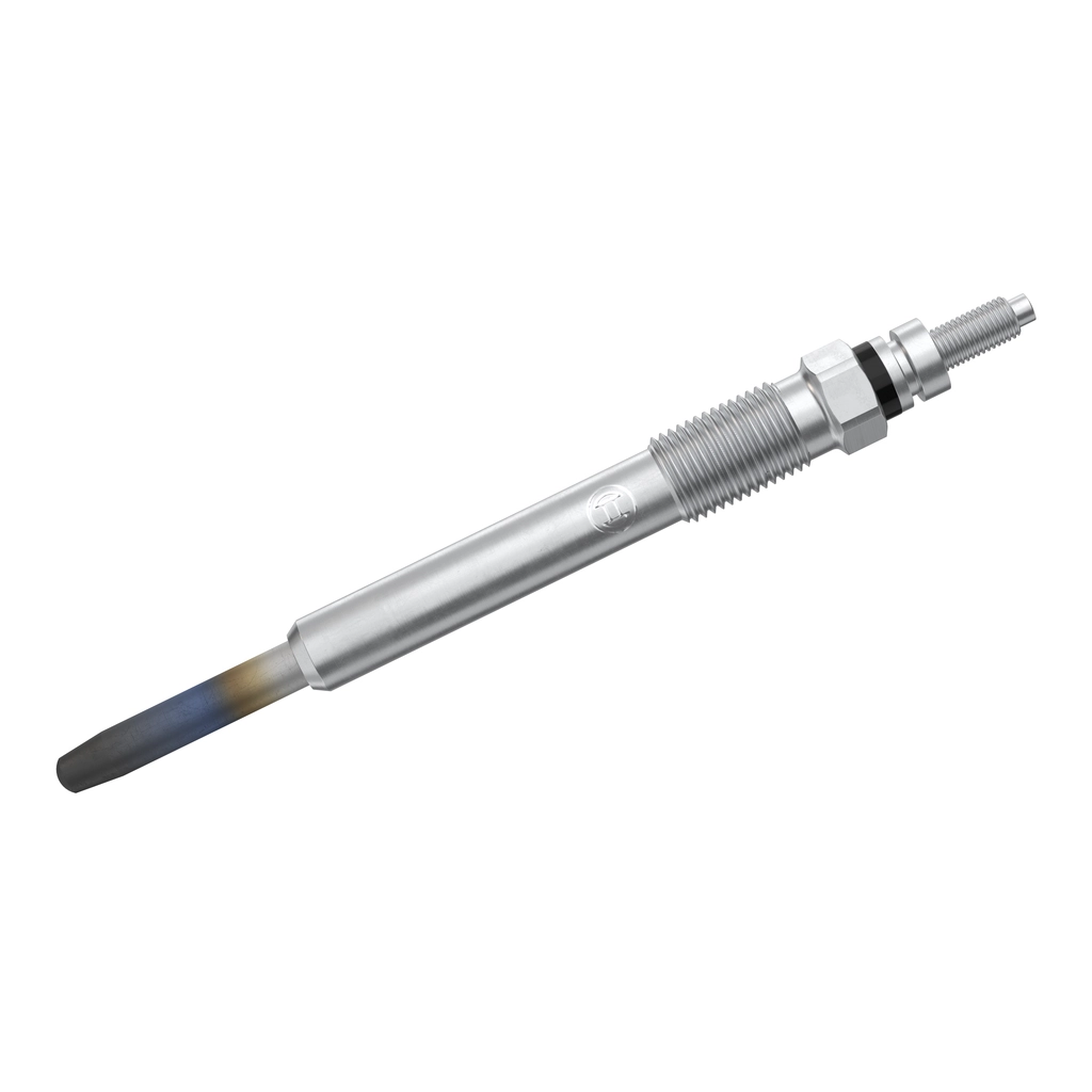 0250202032 Bosch Свічки розжарювання