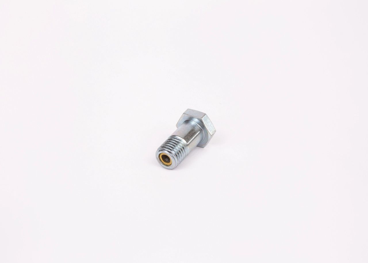 1463456344 Bosch Паливний перепускний клапан (болт банджо)
