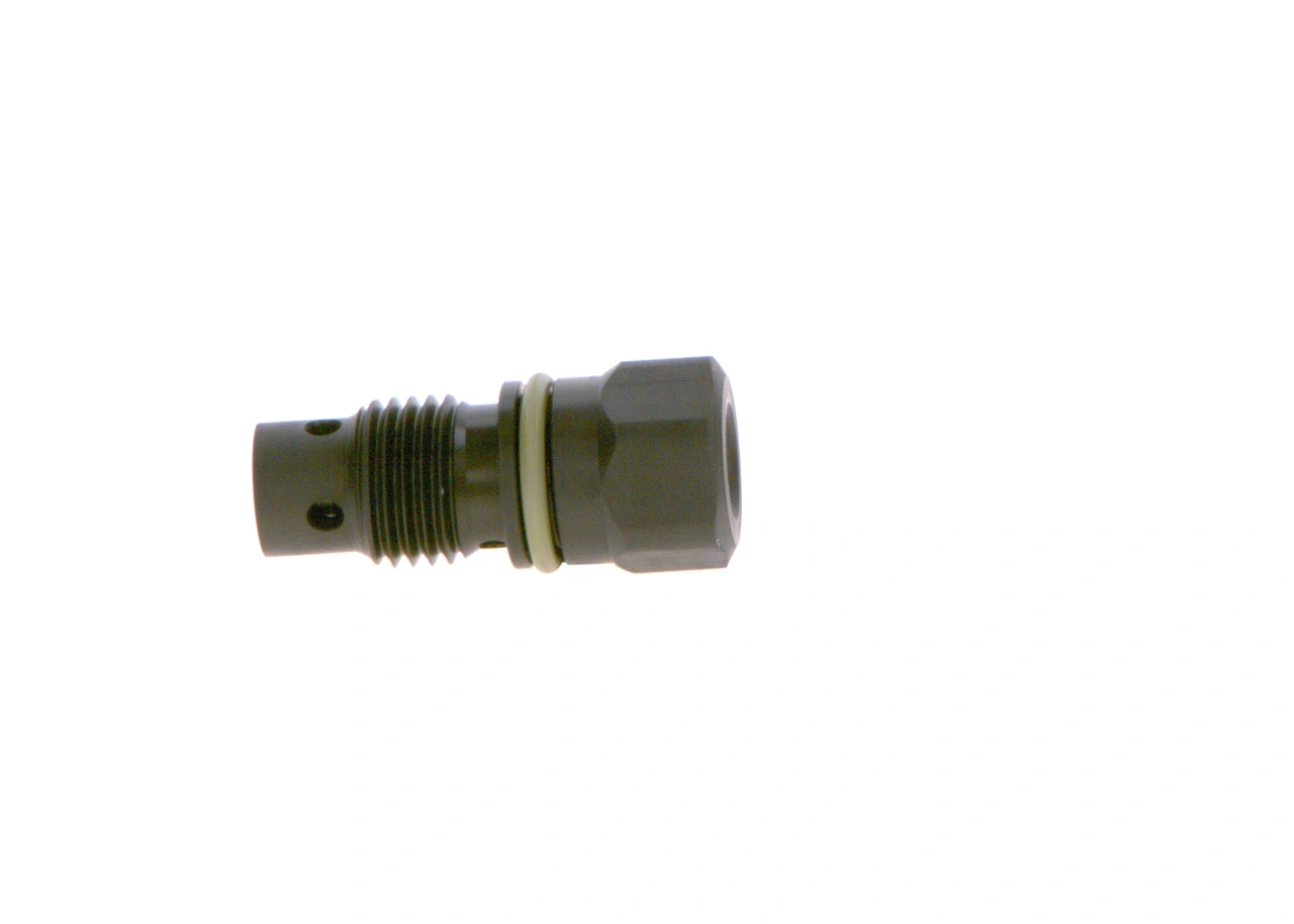 F01M101269 Bosch 