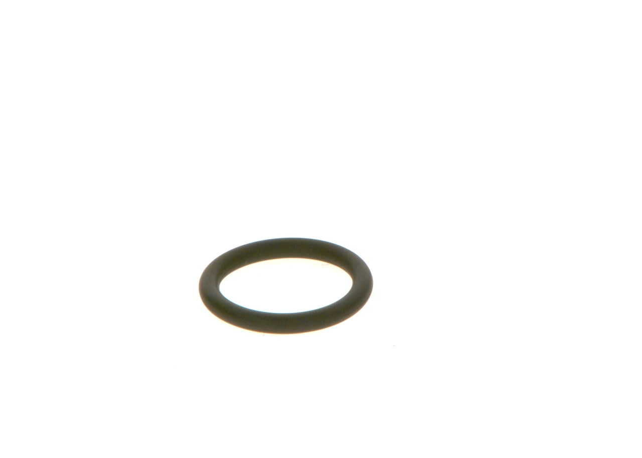 F00RJ01605 Bosch 