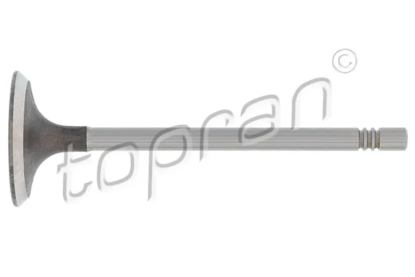 Клапан впускний PVWG035 AMP/Paradowscy