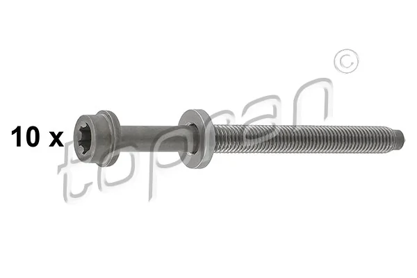 Купити Болт ГБЦ Seat Ibiza IV 6J5, 6P1