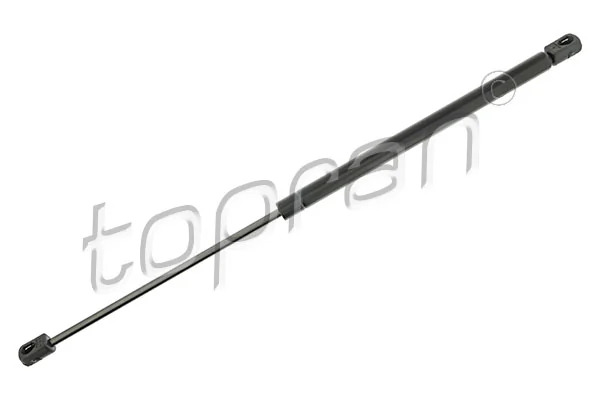 Амортизатор багажника 247519A1 Case