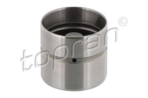 Купити 094256 Peugeot/Citroen Штовхач клапанів двигуна