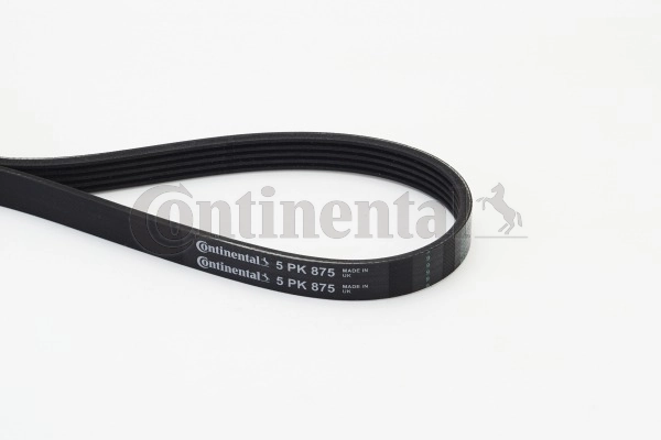 5PK875 Continental/Siemens Поліклиновий ремінь