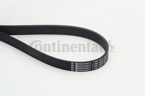 Клиновий ремінь TOP Drive 7PK1970 ціна, від 22.24 USD