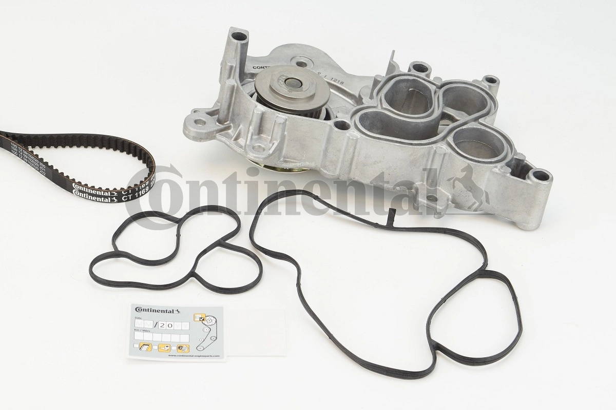 CT1169WP1 Continental/Siemens