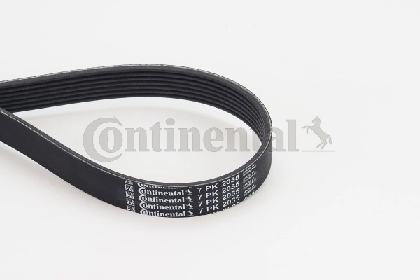 Ремінь генератора 7PKX2035 Continental/Siemens