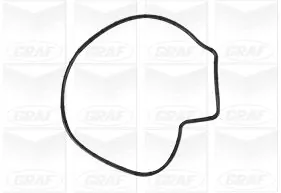 PA1252 Graf Насос охолодження