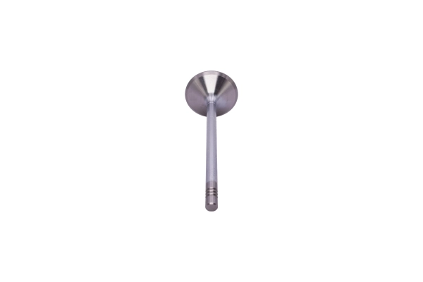 Клапан впускний Dello/Automega 130097010 ціна, від 7.94 USD