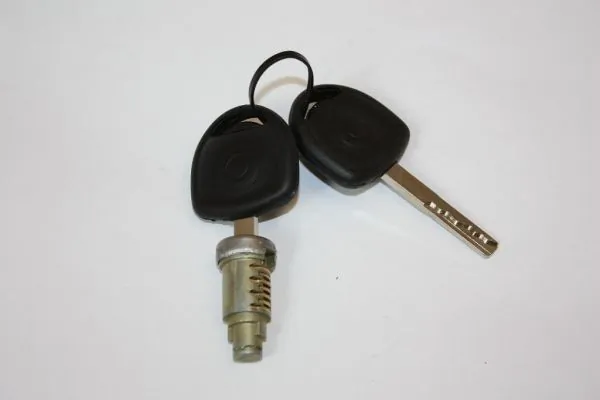 Личинка замка дверей передньої 0133396 JP Group