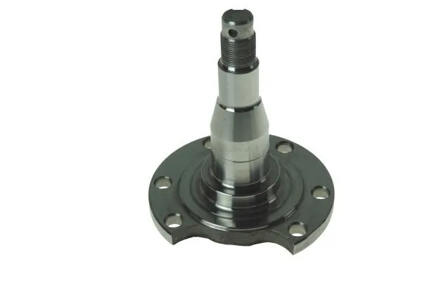 Цапфа - поворотний кулак задній Dello/Automega 110085110 ціна, від 16.43 USD