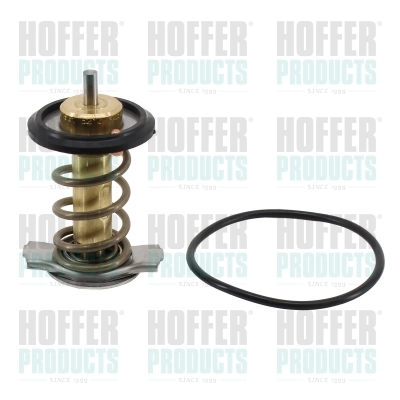 Автомобільний термостат Fiat/Alfa/Lancia 5802386464 ціна, від 24.41 USD