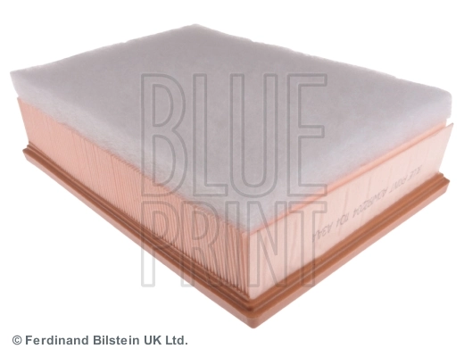 ADW192204 Blue Print Повітряний фільтр двигуна