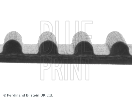 ADT37528 Blue Print Ремінь двигуна