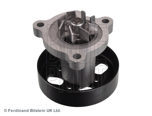 Помпа 210106N226 Renault (RVI)