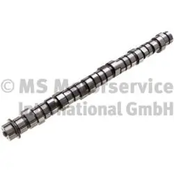 7420746807 Renault (RVI) Шток двигуна, випускний