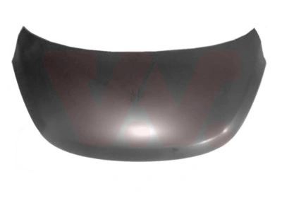 Капот Hyundai I10 хетчбек (PA) (2007 - 2010) ціна, від 95.52 USD