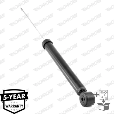 RS319596 Raiso Амортизатори задні