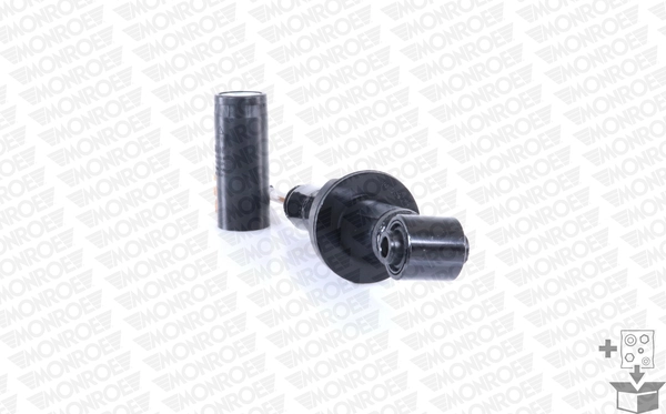 Купити ASH791 Ford Стійка амортизатора задня