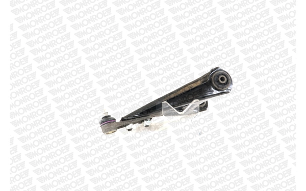 Важіль передньої підвіски нижній, правий Raiso RL700766R ціна, від 30.07 USD