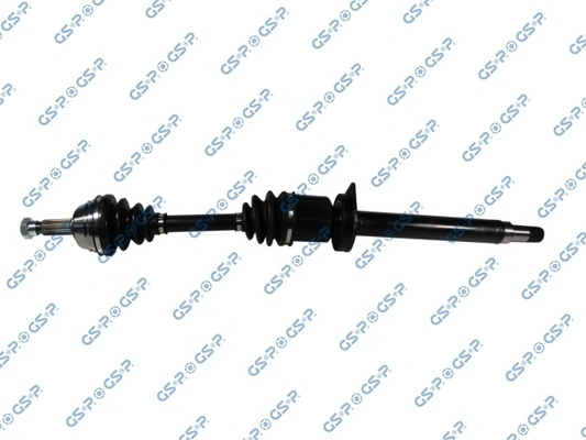 218015 GSP