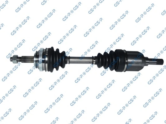 209002 GSP