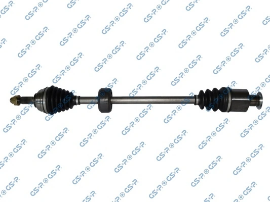250575 GSP