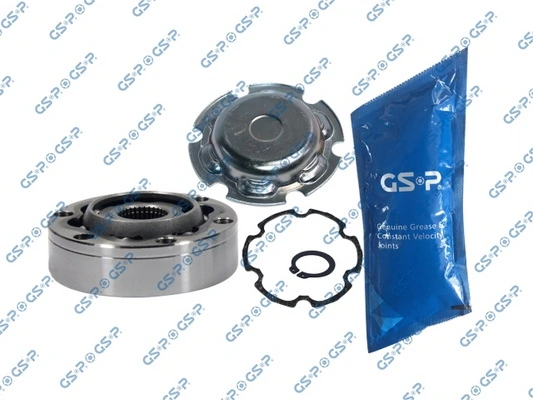 699217 GSP 