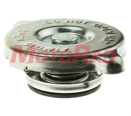 Купити Кришка радіатора Mercedes G  W463