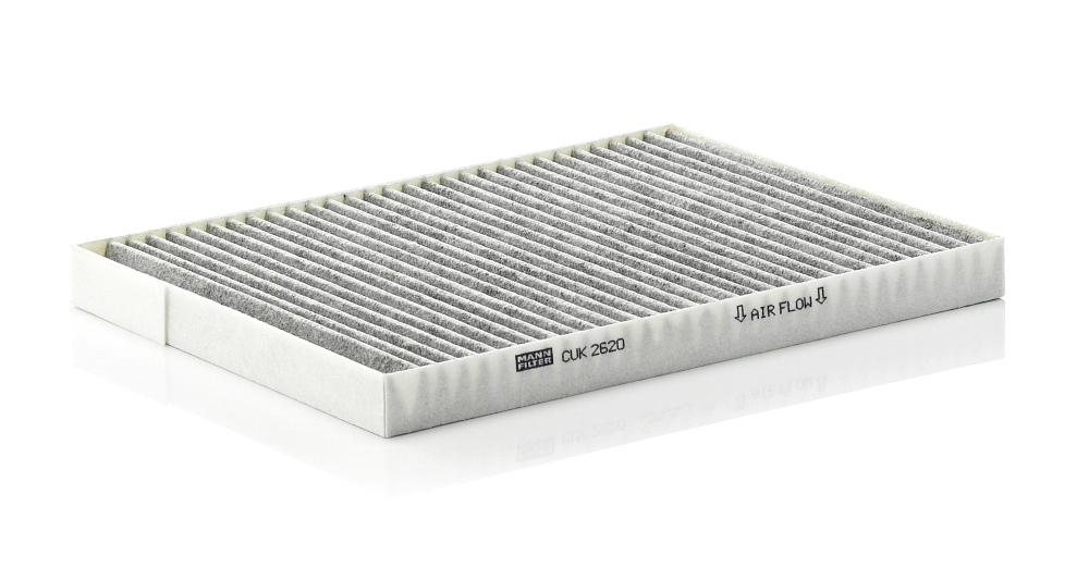 FC1700C AMP/Paradowscy Внутрішньосалонний фільтр