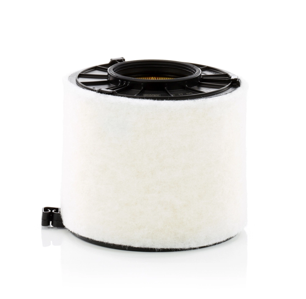 C17011 Mann-Filter