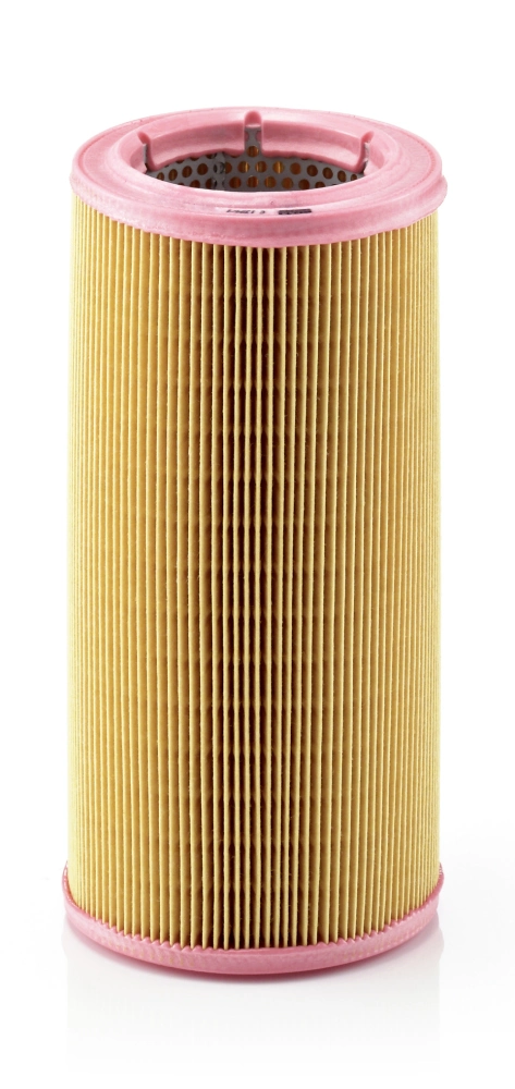 AF0109 Alpha Filter Повітряний фільтр двигуна