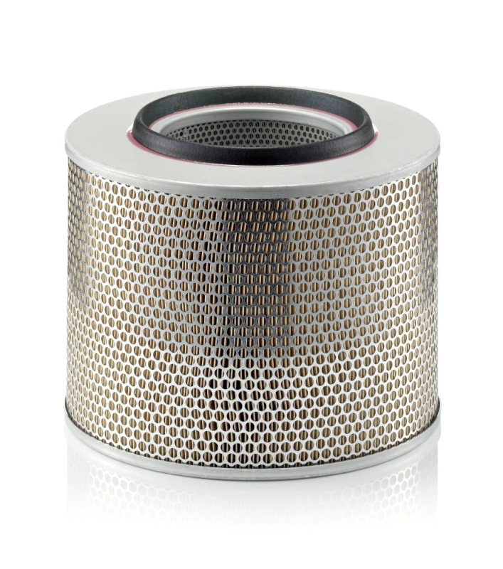 Повітряний фільтр AF0137 Alpha Filter