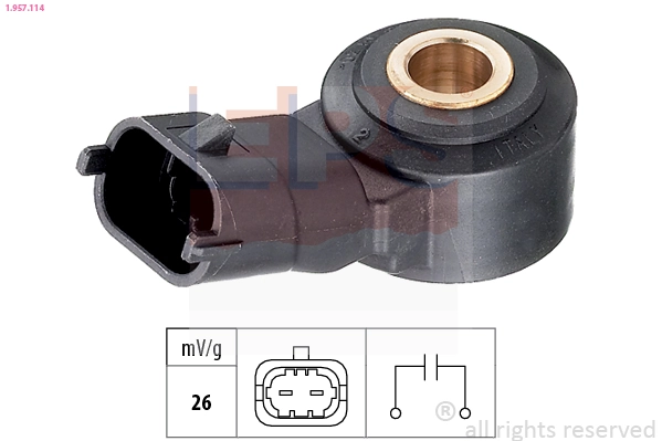 Датчик детонації NSC100650G Britpart