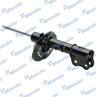 Амортизатор передній, правий RS315758 Raiso